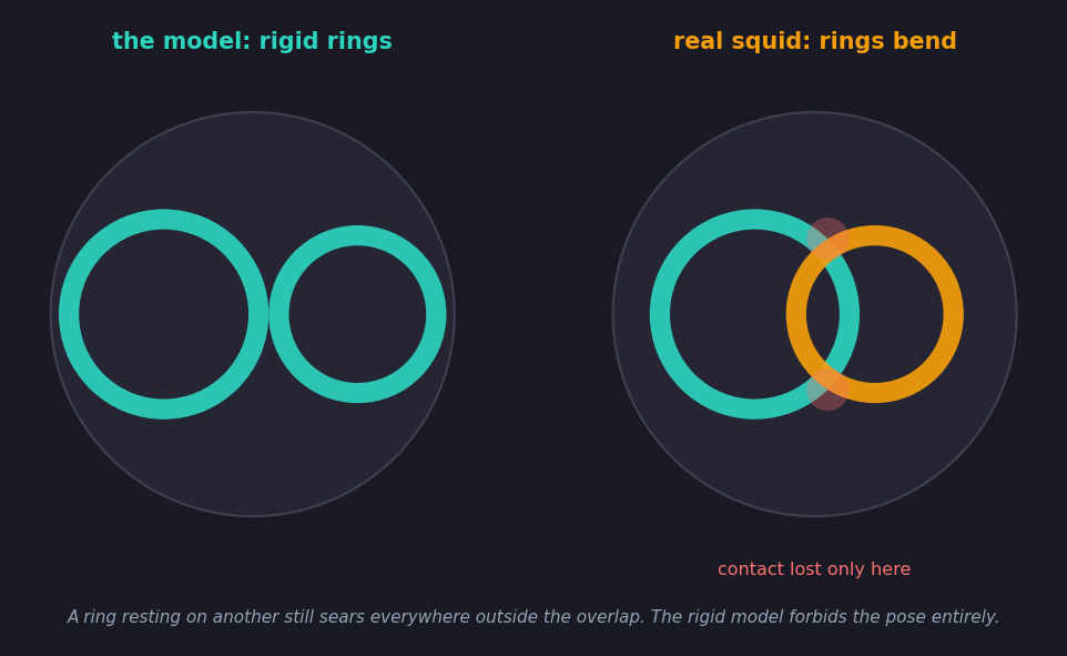Two frying pans seen from above. On the left, the model: two rings side by side at exact tangency, the closest the rules ever allow them. On the right, the same two rings overlapping, one riding partly on top of the other, with the two crossing regions marked in red — the only places where contact with the pan is lost.
